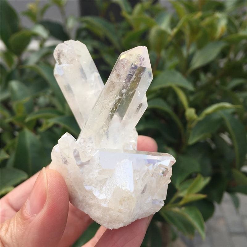 Angel Aura Quartz Cluster